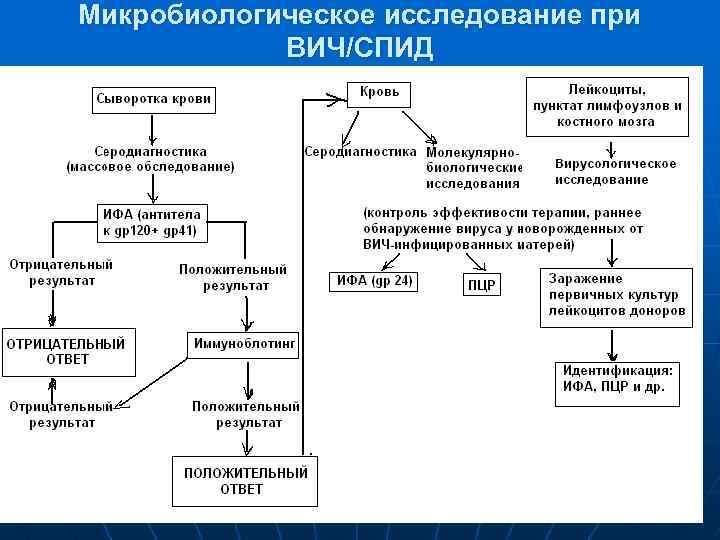 Микробиологическое исследование при ВИЧ/СПИД 