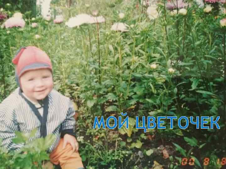 МОЙ ЦВЕТОЧЕК 
