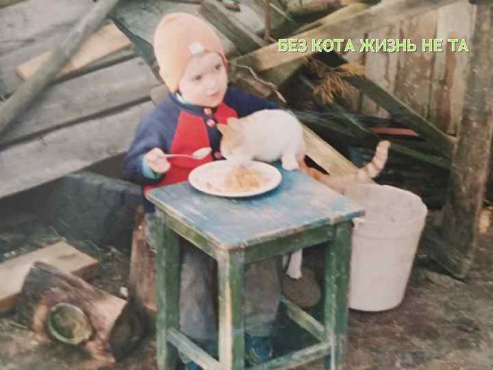 БЕЗ КОТА ЖИЗНЬ НЕ ТА 