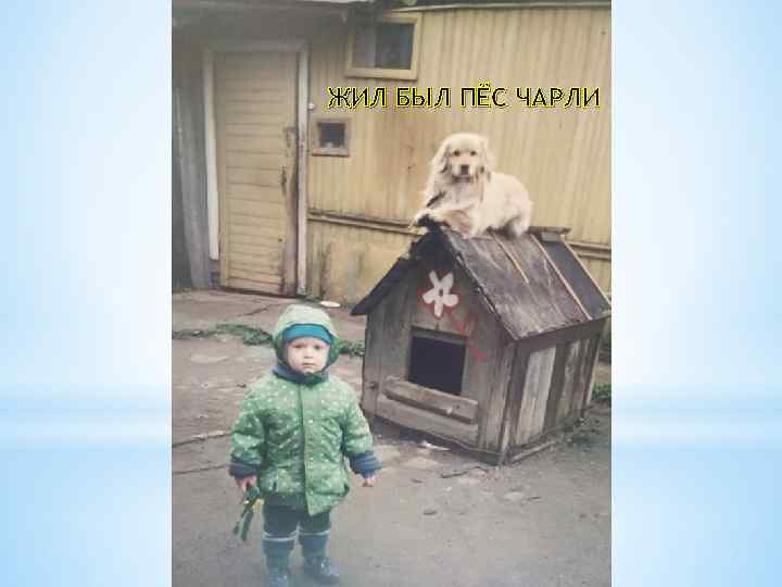 ЖИЛ БЫЛ ПЁС ЧАРЛИ 