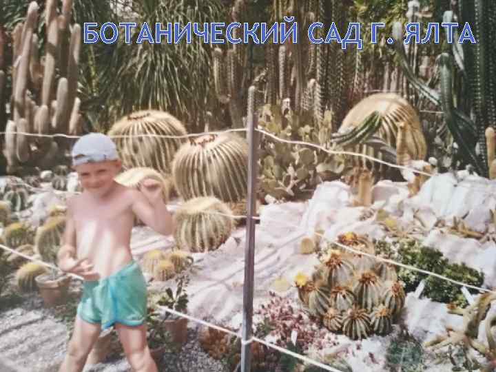 БОТАНИЧЕСКИЙ САД Г. ЯЛТА 