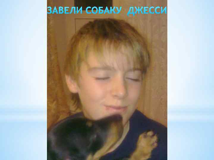 ЗАВЕЛИ СОБАКУ ДЖЕССИ 