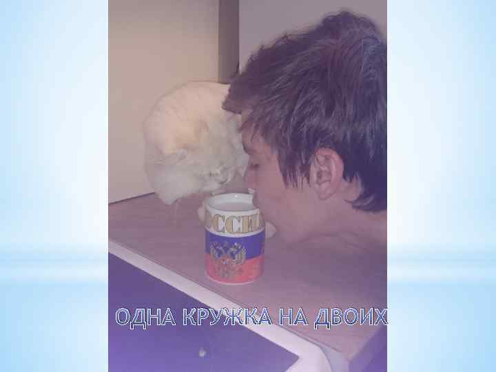 ОДНА КРУЖКА НА ДВОИХ 
