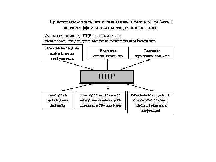 Практическое значение генной инженерии в разработке высокоэффективных методов диагностики Особенности метода ПЦР – полимеразной