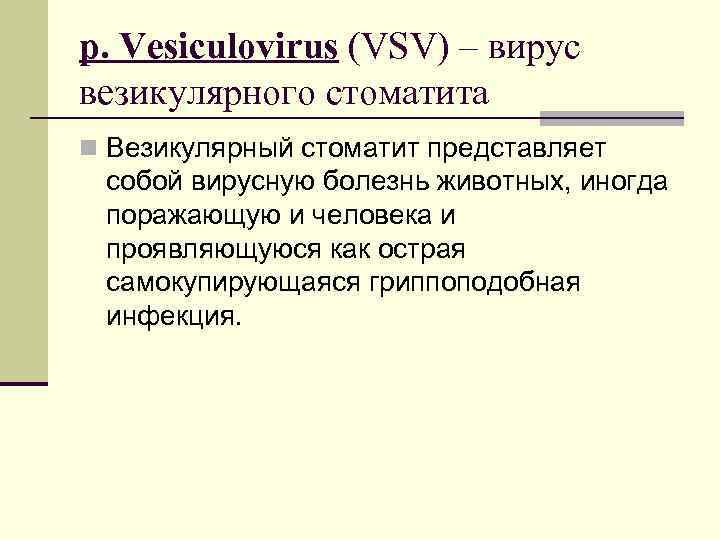 р. Vesiculovirus (VSV) – вирус везикулярного стоматита n Везикулярный стоматит представляет собой вирусную болезнь