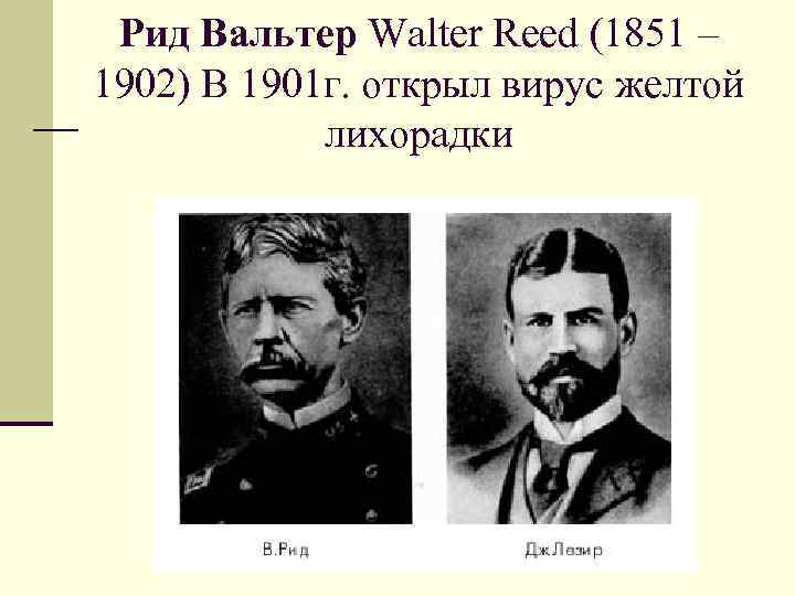 Рид Вальтер Walter Reed (1851 – 1902) В 1901 г. открыл вирус желтой лихорадки