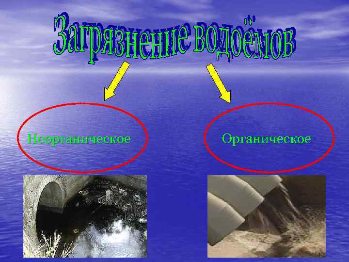 Неорганическое Органическое 