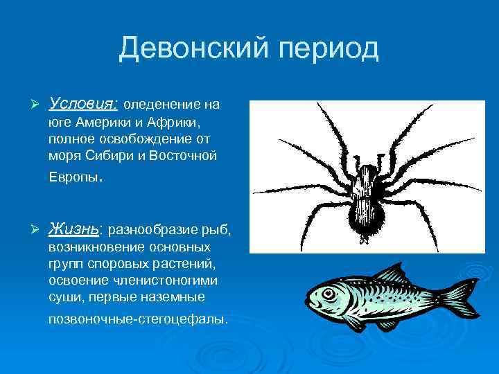 Девонский период Ø Условия: оледенение на юге Америки и Африки, полное освобождение от моря