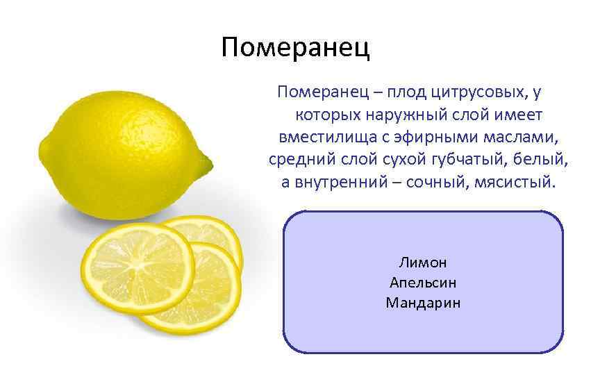 Померанец – плод цитрусовых, у которых наружный слой имеет вместилища с эфирными маслами, средний