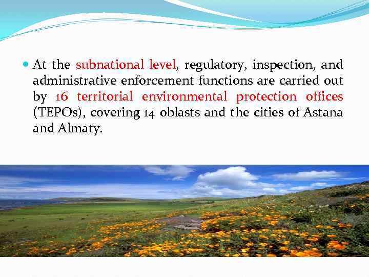  At the subnational level, regulatory, inspection, and administrative enforcement functions are carried out