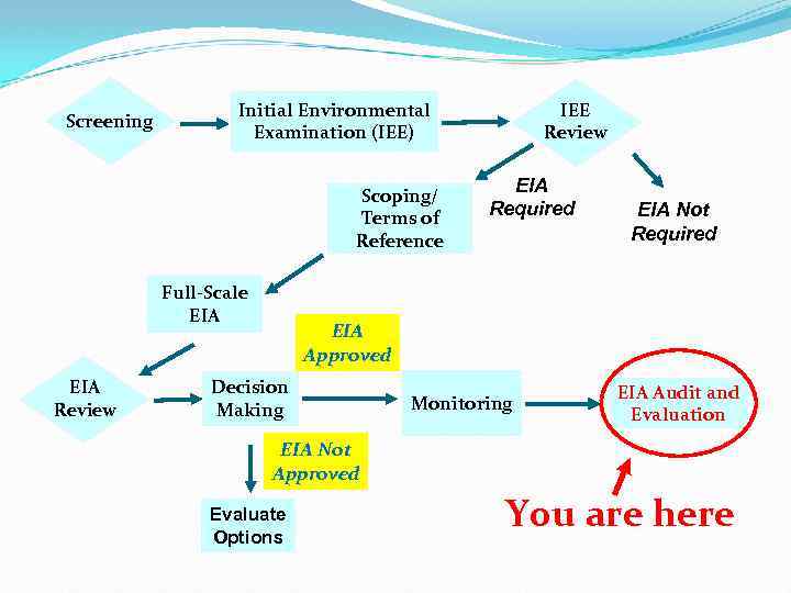 Screening Scoping/ Terms of Reference Full-Scale EIA Review IEE Review Initial Environmental Examination (IEE)