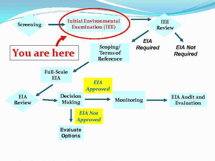 Screening Initial Environmental Examination (IEE) Scoping/ Terms of Reference You are here Full-Scale EIA