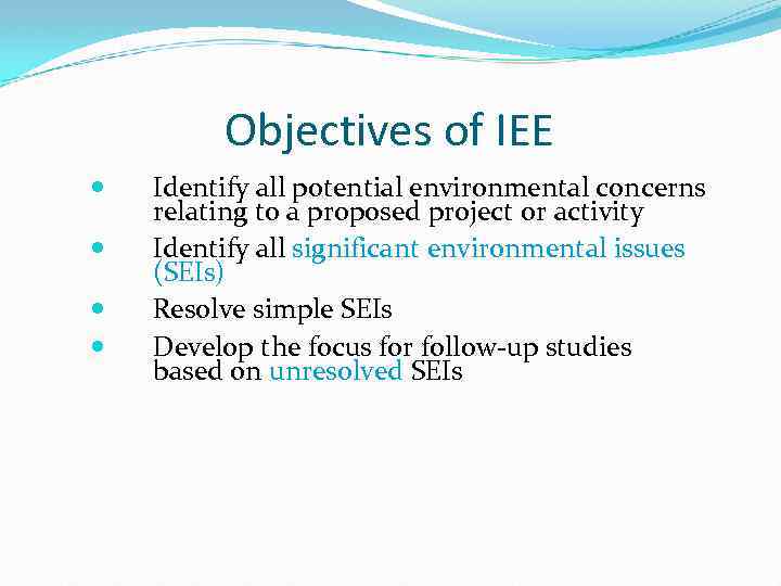 Objectives of IEE Identify all potential environmental concerns relating to a proposed project or