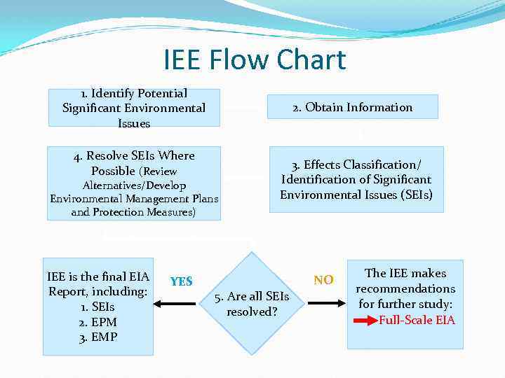 IEE Flow Chart 1. Identify Potential Significant Environmental Issues 4. Resolve SEIs Where Possible