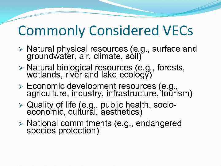 Commonly Considered VECs Ø Ø Ø Natural physical resources (e. g. , surface and