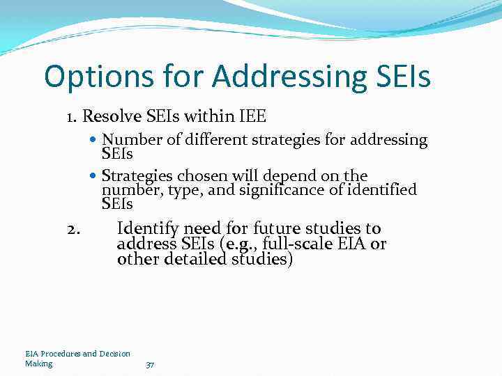 Options for Addressing SEIs 1. Resolve SEIs within IEE Number of different strategies for