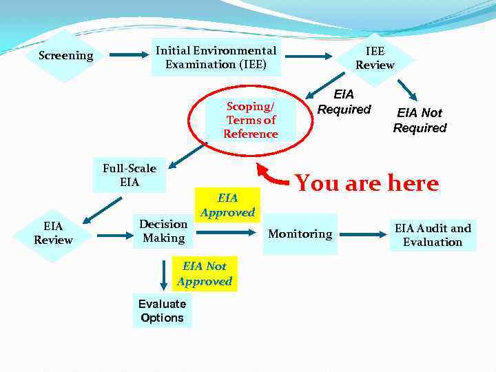 Screening Initial Environmental Examination (IEE) Scoping/ Terms of Reference Full-Scale EIA Review Decision Making