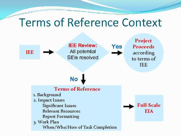 Terms of Reference Context IEE Review: All potential SEIs resolved Yes Project Proceeds according