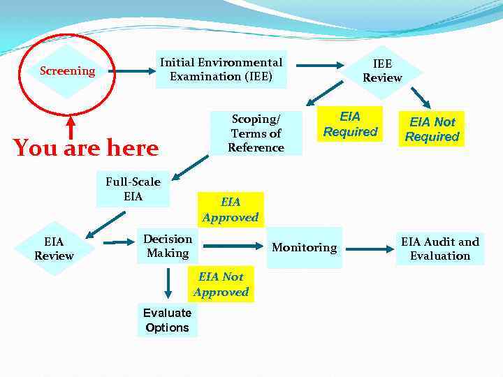 Initial Environmental Examination (IEE) Screening You are here Full-Scale EIA Review Scoping/ Terms of