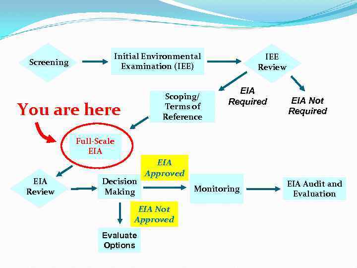 Screening Initial Environmental Examination (IEE) Scoping/ Terms of Reference You are here IEE Review