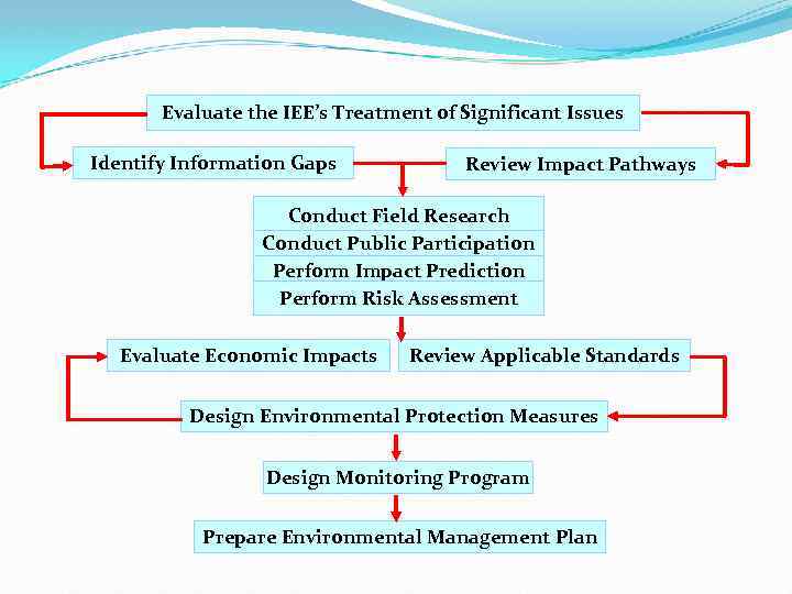 Evaluate the IEE’s Treatment of Significant Issues Identify Information Gaps Review Impact Pathways Conduct