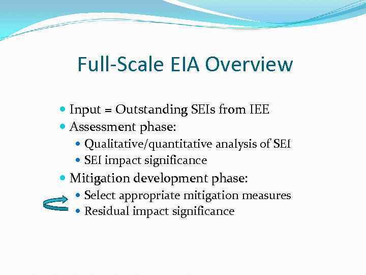 Full-Scale EIA Overview Input = Outstanding SEIs from IEE Assessment phase: Qualitative/quantitative analysis of