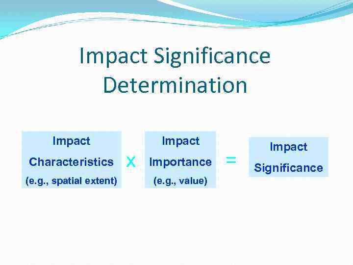 Impact Significance Determination Impact Characteristics (e. g. , spatial extent) Impact x Importance (e.