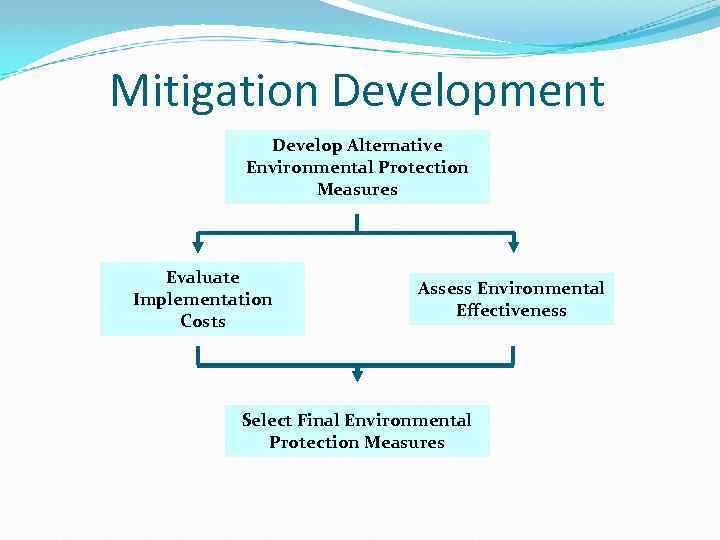 Mitigation Development Develop Alternative Environmental Protection Measures Evaluate Implementation Costs Assess Environmental Effectiveness Select