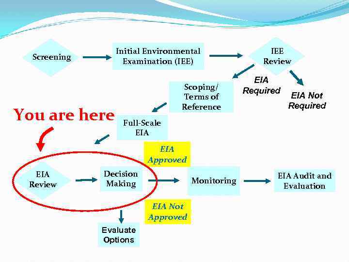 Initial Environmental Examination (IEE) Screening You are here Scoping/ Terms of Reference IEE Review