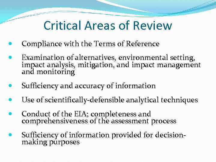 Critical Areas of Review Compliance with the Terms of Reference Examination of alternatives, environmental