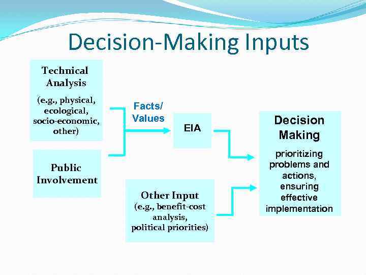 Decision-Making Inputs Technical Analysis (e. g. , physical, ecological, socio-economic, other) Facts/ Values EIA