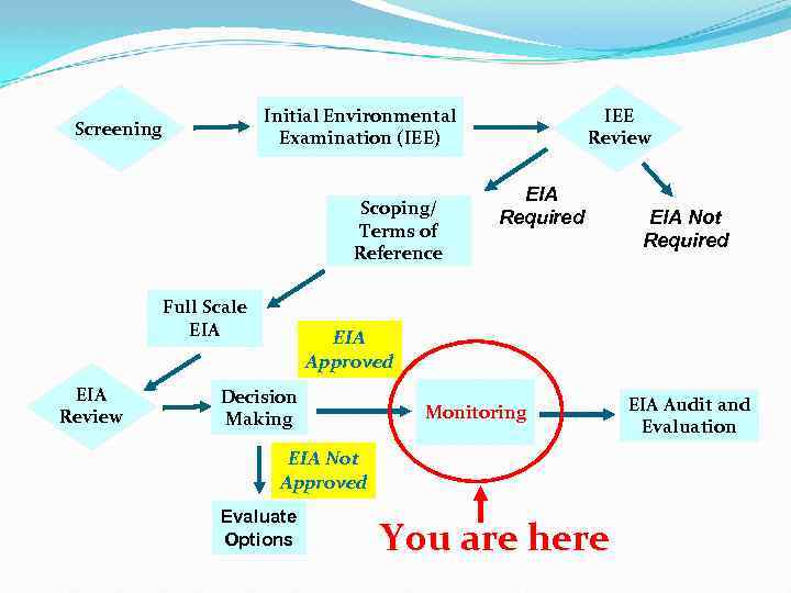 Scoping/ Terms of Reference Full Scale EIA Review IEE Review Initial Environmental Examination (IEE)