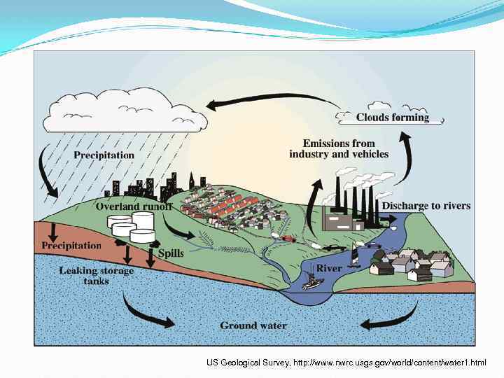 US Geological Survey, http: //www. nwrc. usgs. gov/world/content/water 1. html 