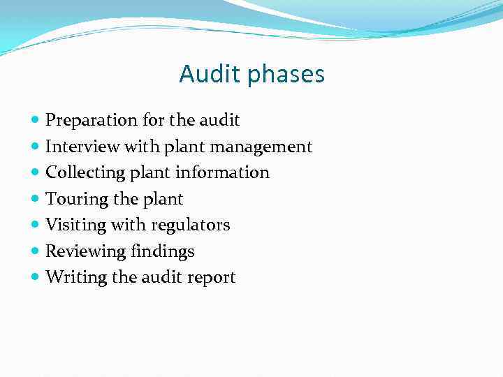 Audit phases Preparation for the audit Interview with plant management Collecting plant information Touring