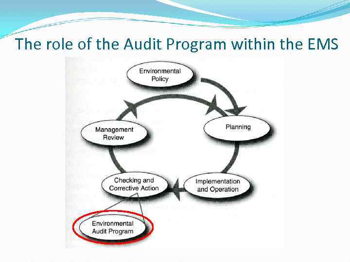 The role of the Audit Program within the EMS 