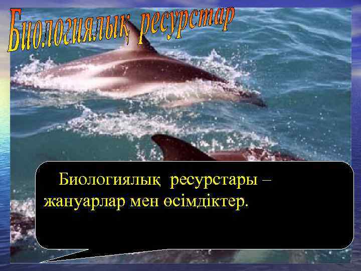 Биологиялық ресурстары – жануарлар мен өсімдіктер. 