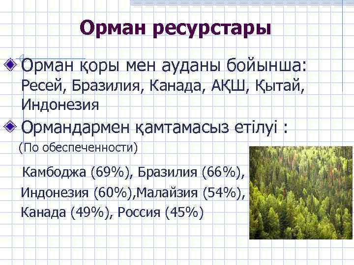 Орман ресурстары Орман қоры мен ауданы бойынша: Ресей, Бразилия, Канада, АҚШ, Қытай, Индонезия Ормандармен