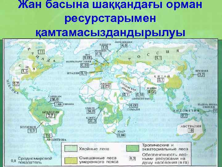 Жан басына шаққандағы орман ресурстарымен қамтамасыздандырылуы 