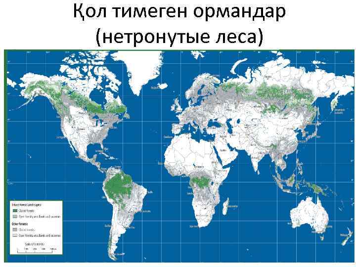 Қол тимеген ормандар (нетронутые леса) 