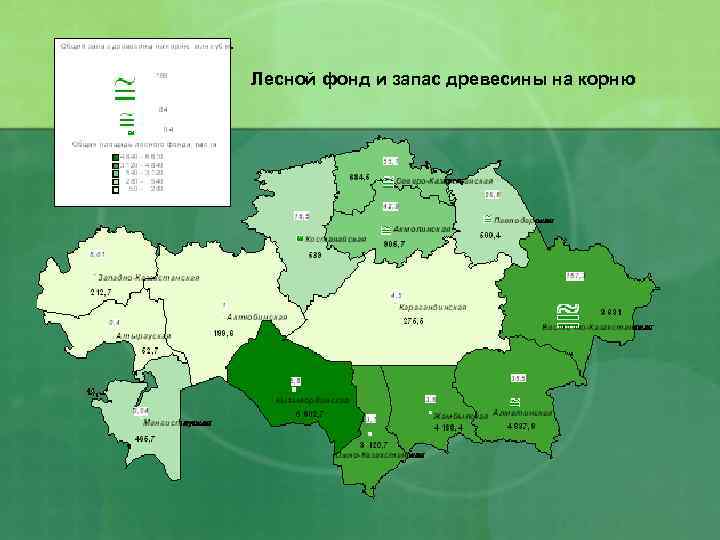 Лесной фонд и запас древесины на корню 