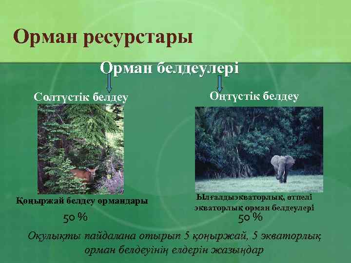 Орман ресурстары Орман белдеулері Солтүстік белдеу Оңтүстік белдеу Қоңыржай белдеу ормандары Ылғалдыэкваторлық, өтпелі экваторлық