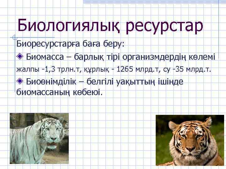 Биологиялық ресурстар Биоресурстарға баға беру: Биомасса – барлық тірі организмдердің көлемі жалпы -1, 3