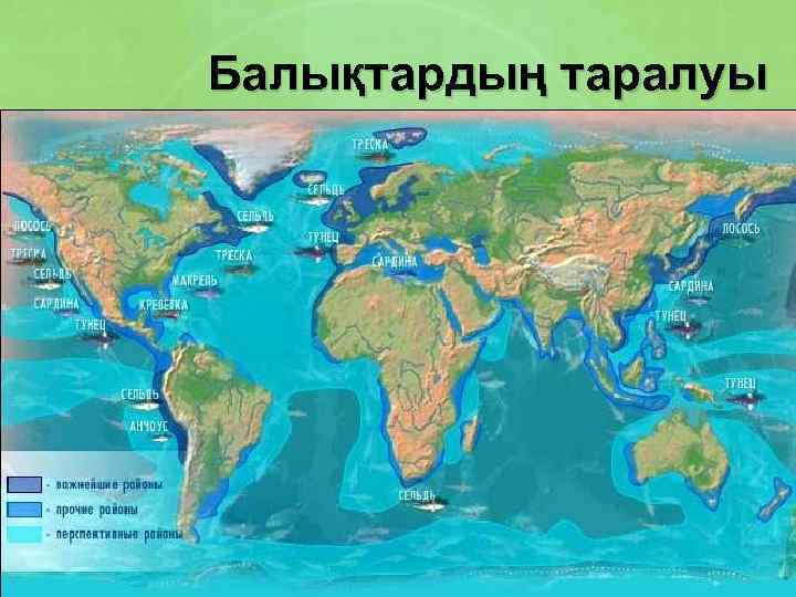 Балықтардың таралуы 