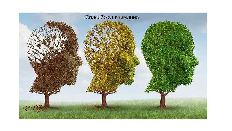 Спасибо за внимание 