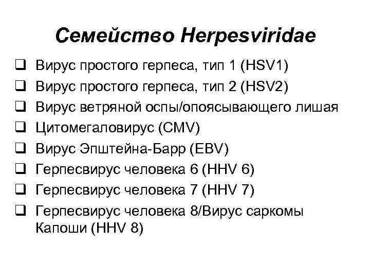 Семейство Herpesviridae q q q q Вирус простого герпеса, тип 1 (HSV 1) Вирус