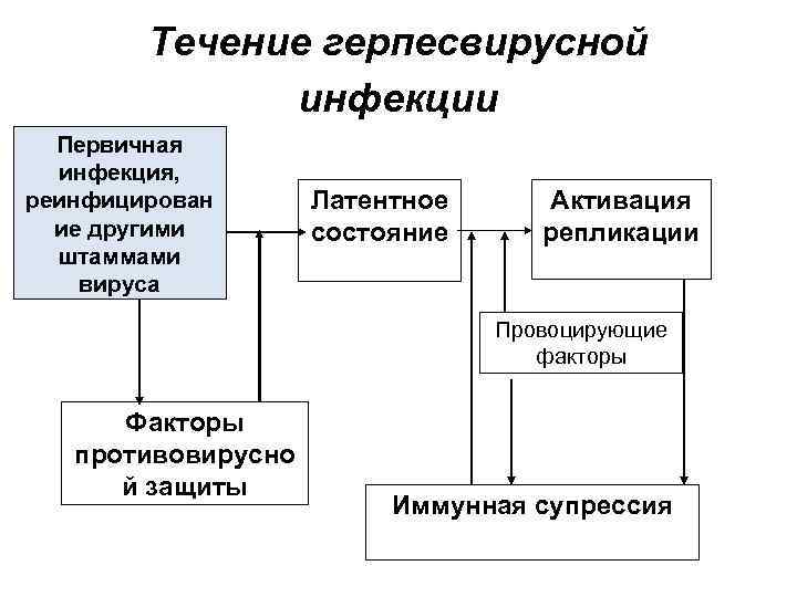 Течение герпесвирусной инфекции Первичная инфекция, реинфицирован ие другими штаммами вируса Латентное состояние Активация репликации