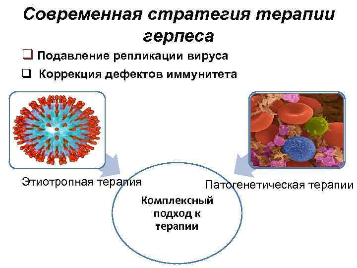 Современная стратегия терапии герпеса q Подавление репликации вируса q Коррекция дефектов иммунитета Этиотропная терапия
