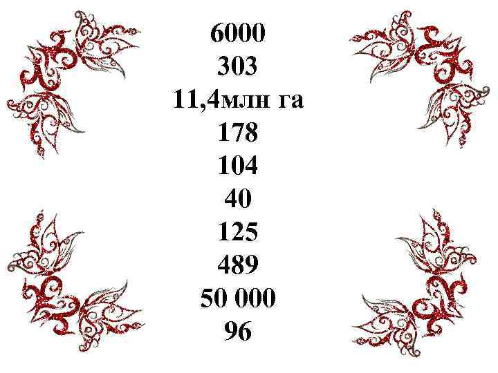 6000 303 11, 4 млн га 178 104 40 125 489 50 000 96