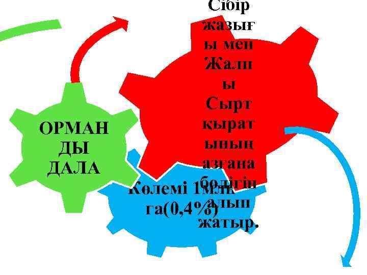 ОРМАН ДЫ ДАЛА Сібір жазығ ы мен Жалп ы Сырт қырат ының азғана бөлігін
