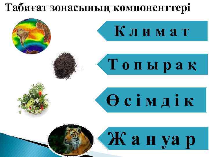 Табиғат зонасының компоненттері Климат Топырақ Өсімдік Ж а н уа р 